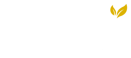 Final Project-01 - Copy